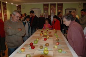 razstava jabolk